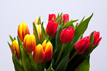 Spring bouquet of tulips 