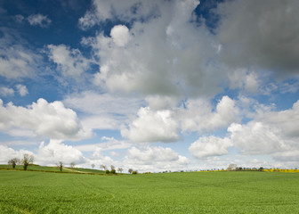Idyllic rural landscape, Cotswolds UK