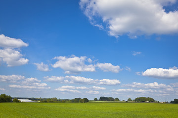 Fototapeta premium Idyllic rural farmland, Cotswolds UK
