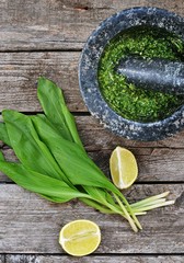 bear's onion pesto.