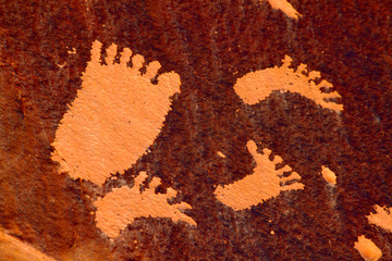 Footprint Petroglyph Newspaper Rock
