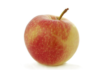 Organic Apple