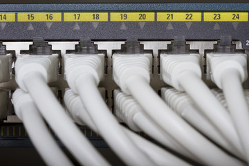 Close up of Network Switch