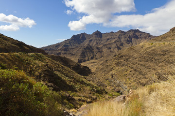 Fototapeta na wymiar Valley and Moutain at Canary Island