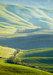 Tuscany hills