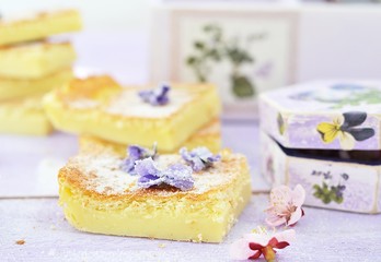 Custard Cake