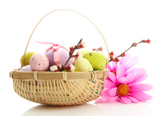 Beautiful easter eggs and apricot blossom in basket, isolated