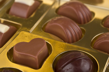 Close up of a chocolates