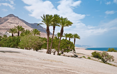 Fototapeta premium Dead Sea .