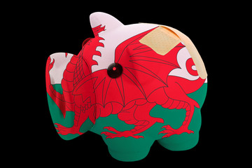 bankrupt piggy rich bank in colors of national flag of wales