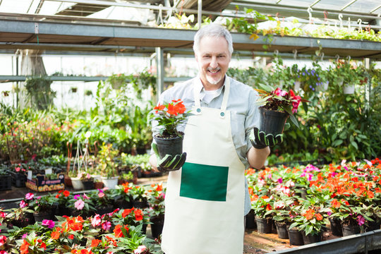 Man holding flower pots