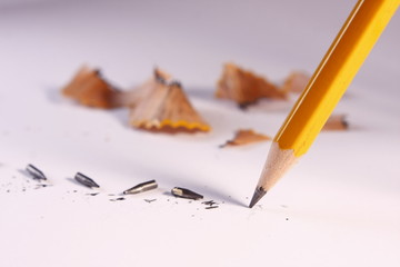 Pencil with Broken Leads and Shavings