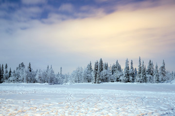 Winter landscape at night