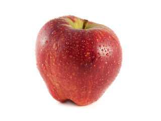 Isolated red apple with water drops on a white