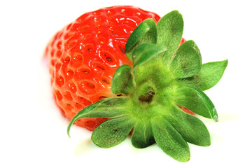 Erdbeermilch