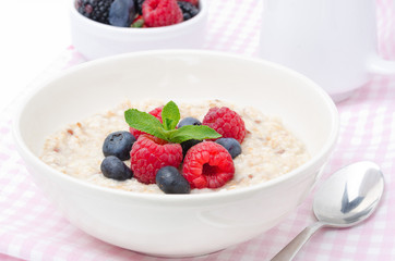 healthy breakfast - oatmeal with fresh berries, horizontal