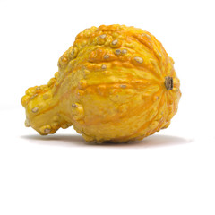 Gourd Isolated on White Background