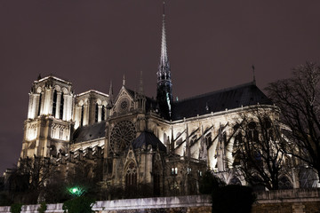 Fototapeta na wymiar Katedra Notre-Dame w Paryżu