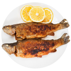 fried river trout fish on white background