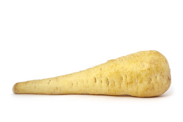 Organic Parsley Root