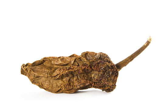Organic Dried Chipotles Chilli Pepper