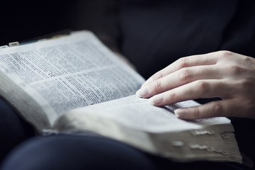Woman Reading and Study the Bible