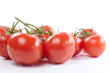 fresh tomatoes