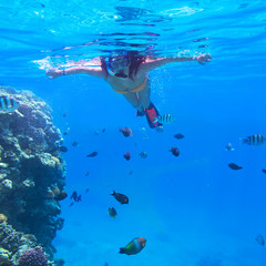 Woman snorkeling in Red Sea of Egypt
