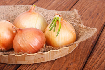 Onion with sprouts on a napkin with burlap on a wooden plate