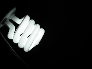 Compact Fluorescent  in the dark