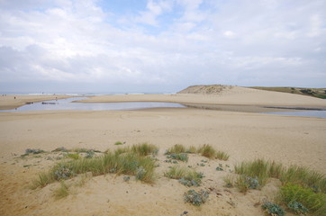 embouchure du courant d'huchet - moliets et maa