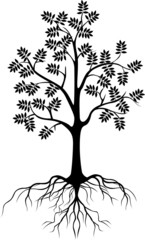 tree silhouette for you design