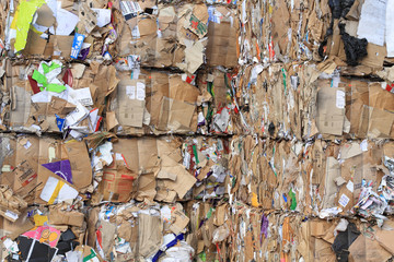 recycled waste cardboard