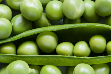 Guisantes