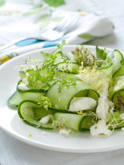 Fresh salad of cucumber, lettuce and goat cheese, selective focu