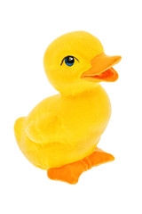 Yellow duck