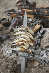 Cooking fish on an open fire