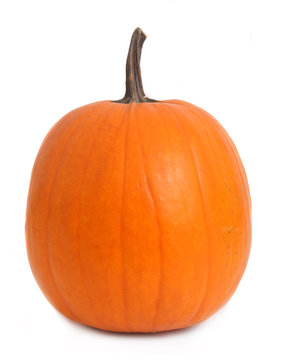 perfect pumpkin isolated