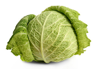 Fototapeta premium savoy cabbage