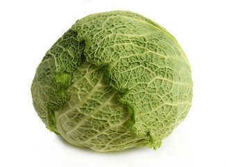 Fototapeta premium savoy cabbage