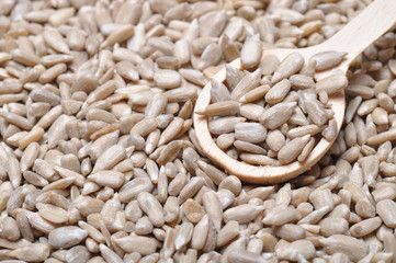 Sunflower seeds