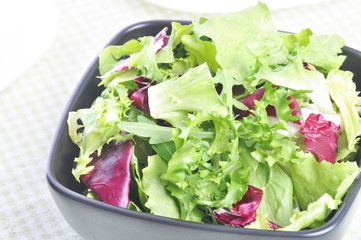 Mixed salad leaves