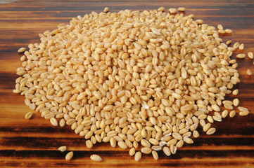 Whole wheat kernels