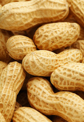 Dried peanut