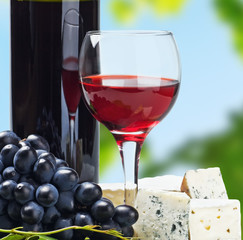 glass of red wine with grapes