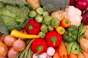 Basket of Fresh Vegetables