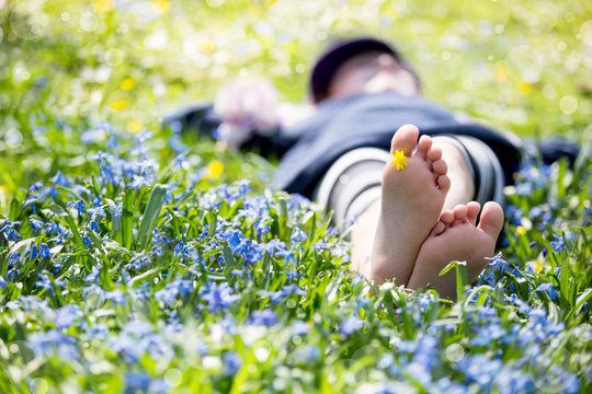 M&auml;dchen liegt in einer blauen Blumenwiese