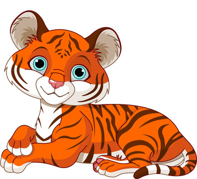 Resting little  tiger cub