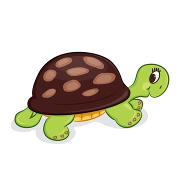 Cartoon turtle. Coloring book. Vector illustration