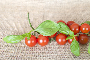 Pomodorini e basilico